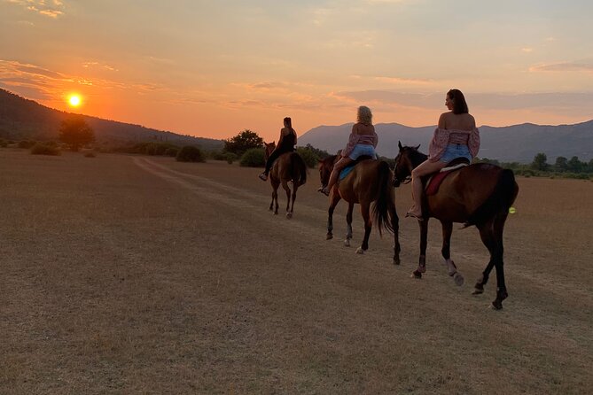 Private Horseback Riding Across River Ljuta