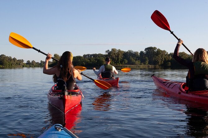 Private River & Sea Kayaking With Snorkeling in Omiš