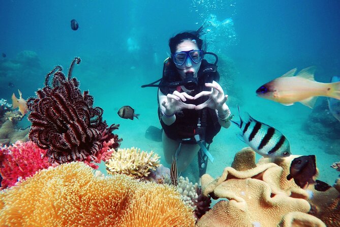 1 private snorkeling tour nha trang included lunch and snorkel gear Private Snorkeling Tour Nha Trang Included Lunch And Snorkel Gear