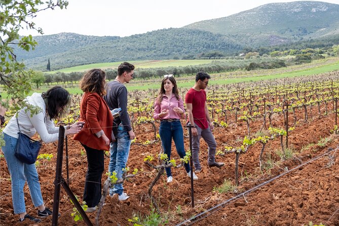 Private Tour and Tasting at Zeginis Winery