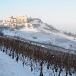 1 private tour from turin full day langhe region with its colors and flavors Private Tour From Turin: Full Day Langhe Region With Its Colors and Flavors
