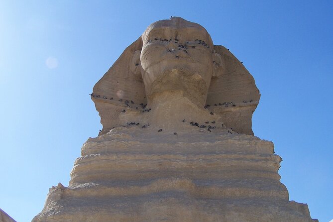 Private Tour of the Pyramids, Sphinx, Saqqara