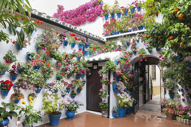 1 private tour the courtyards of cordoba Private Tour: the Courtyards of Cordoba