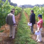 1 private tour to melgaco and moncao the heart of the alvarinho region Private Tour to Melgaço and Monção, the Heart of the Alvarinho Region