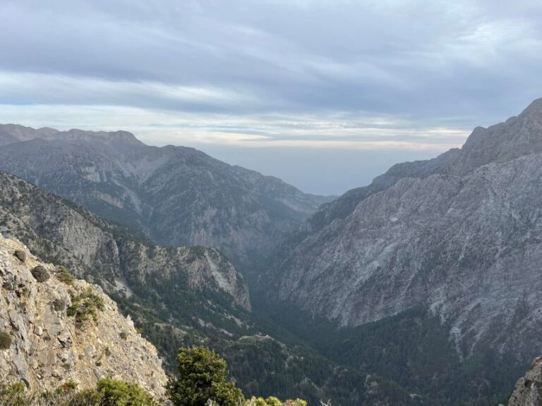 Private Tour to the White Mountains & Samaria From Above