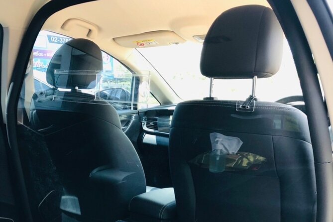 Private Transfer: 100% Electric Don Muang Airport Transfer