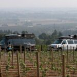 1 private willamette valley wine tour from portland tasting fees included Private - Willamette Valley Wine Tour From Portland (Tasting Fees Included)