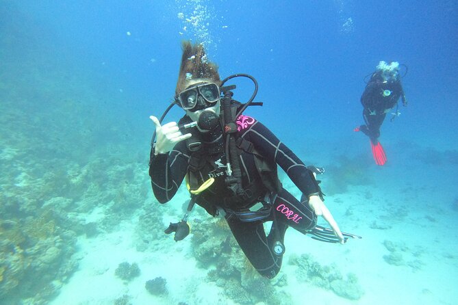 Professional Scuba Diving Trip in Hurghada With Lunch