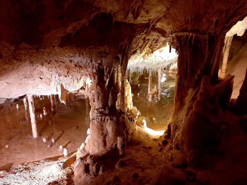 Puerto De San Miguel: Can Marçá Cave Guided Tour With Entry - Activity Description