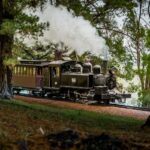 1 puffing billy railway heritage steam train journey Puffing Billy Railway: Heritage Steam Train Journey