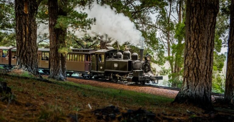 Puffing Billy Railway: Heritage Steam Train Journey