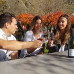 1 queenstown afternoon wine tasting tour with 3 wineries Queenstown: Afternoon Wine Tasting Tour With 3 Wineries