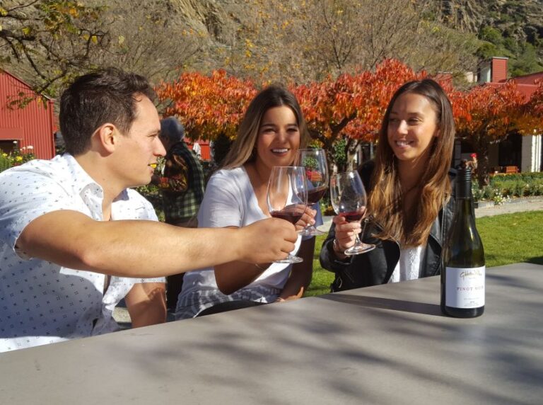 Queenstown: Afternoon Wine Tasting Tour With 3 Wineries