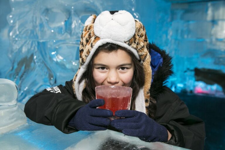 Queenstown: Minus 5 Ice Bar Experience With Drink Options