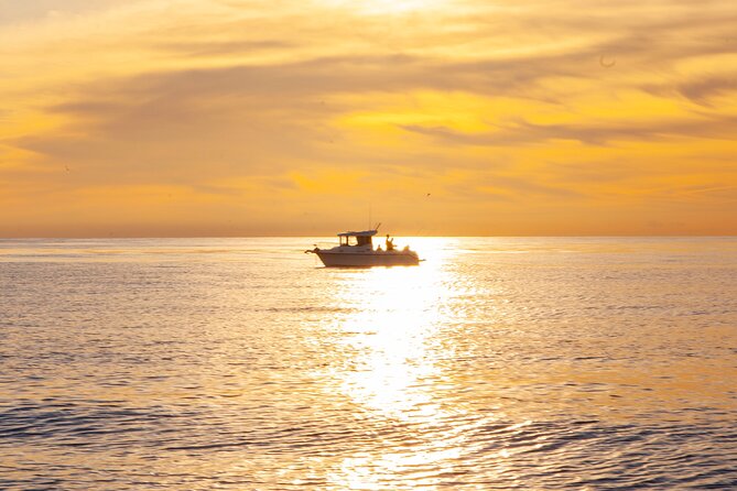 Reef Fishing Experience From Portimao