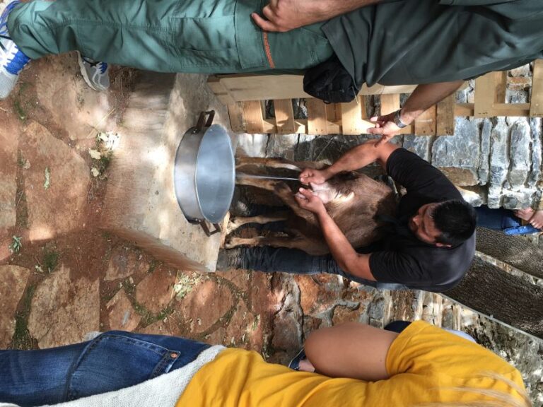 Rethymno: Explore Shepherd’s Hut and Cheese Making Process