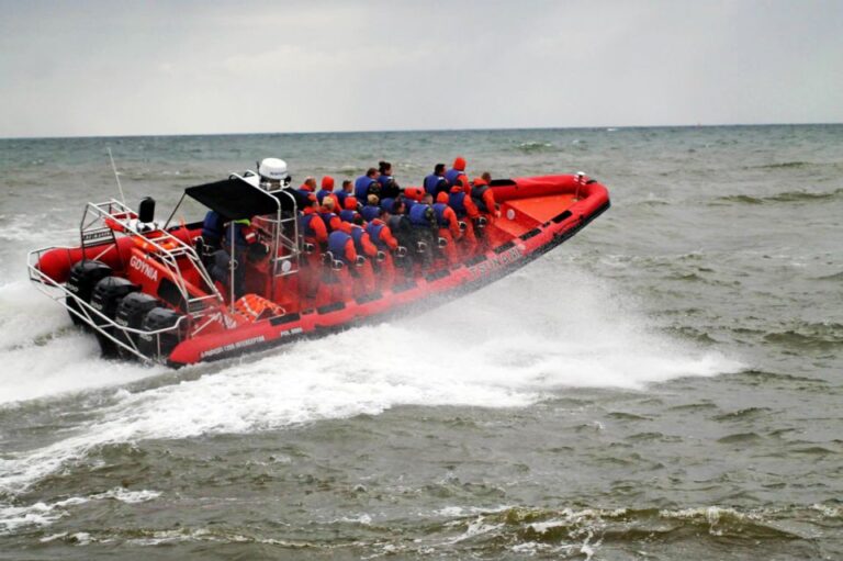 Reykjavik: Whale Watching by RIB Speedboat