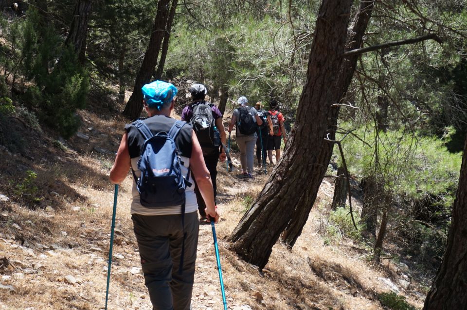 1 rhodes hiking tour to the summit of akramitis with photos Rhodes: Hiking Tour to the Summit of Akramitis With Photos