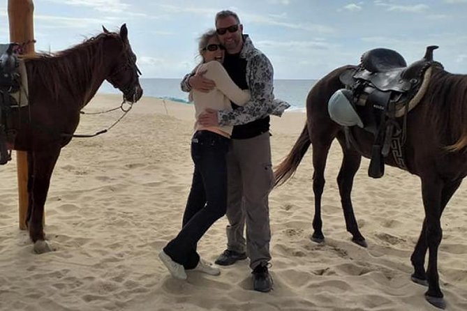 1 ride a horse around the beautiful beaches of todos santos Ride a Horse Around the Beautiful Beaches of Todos Santos.