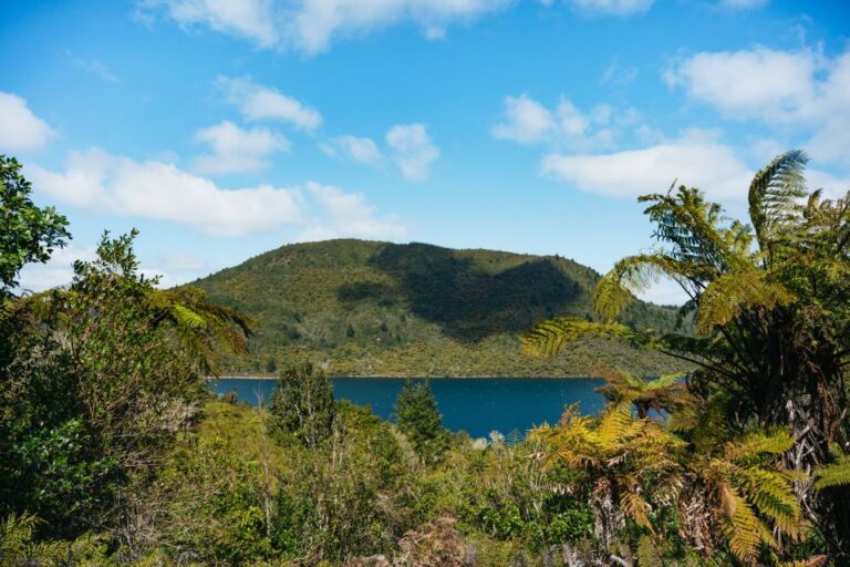 Rotorua: ‘Off The Beaten Track’ Geothermal Day Tour