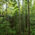 1 rotorua redwoods altitude high ropes adventure Rotorua: Redwoods Altitude High Ropes Adventure