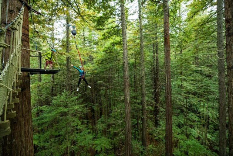 Rotorua: Redwoods Altitude High Ropes Adventure