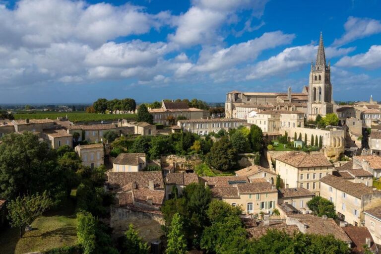 Saint-Émilion: Gravel Bike Tour, Wine Tasting & Picnic