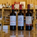 1 saint emilion visit of a family vineyard tasting Saint-Émilion: Visit of a Family Vineyard & Tasting