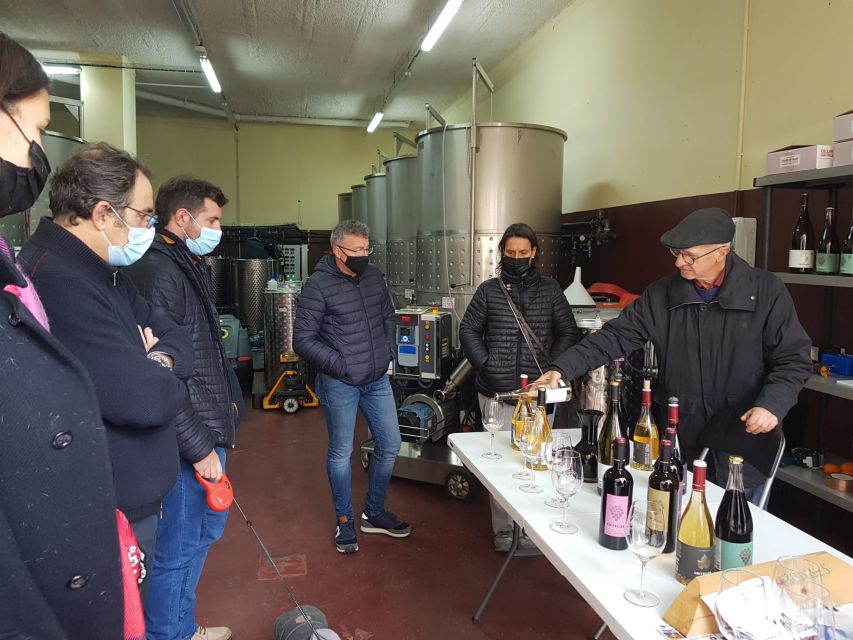 1 salou priorat wine cellar tour with wine tasting Salou: Priorat Wine-Cellar Tour With Wine Tasting