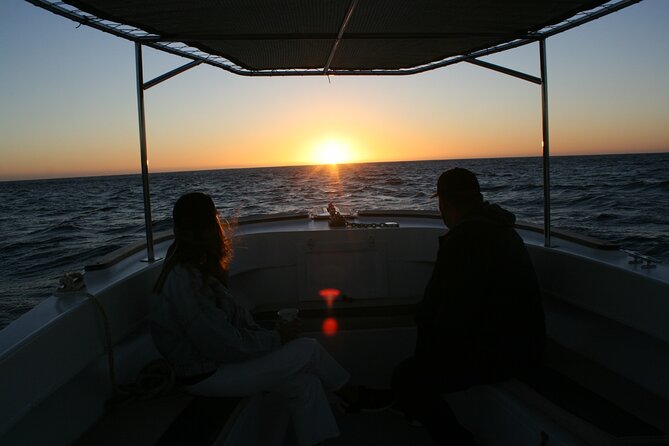 1 san jose del cabo small group sunrise whale watching San Jose Del Cabo Small-Group Sunrise Whale Watching