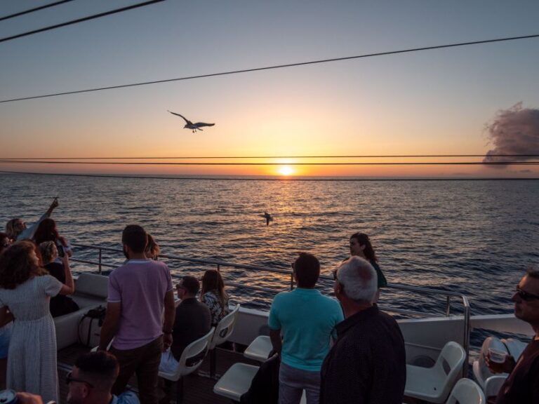 Sant Antoni De Portmany: Sunset Cruise With Drinks and Music