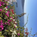 1 santorini blue domes and caldera cliffside tour Santorini: Blue Domes and Caldera Cliffside Tour