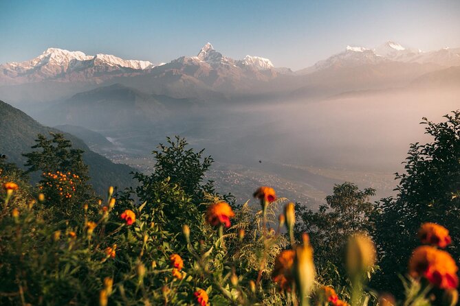 1 sarangkot sunrise private guided tour with pick up from pokhara Sarangkot Sunrise Private Guided Tour With Pick up From Pokhara