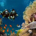 1 scuba dive with sharing transfers Scuba Dive With Sharing Transfers