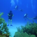 1 scuba diving adventure in mahahual scuba gear included SCUBA Diving Adventure in Mahahual, SCUBA Gear Included