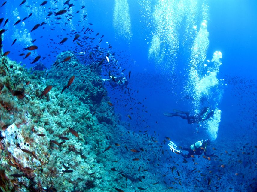 1 scuba diving to the aeolian islands from milazzo Scuba Diving to the Aeolian Islands From Milazzo