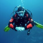 1 scuba diving tour in puerto plata hotel shore Scuba Diving Tour in Puerto Plata Hotel/Shore