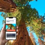 1 sequoia kings canyon self guided audio driving tour Sequoia & Kings Canyon: Self-Guided Audio Driving Tour