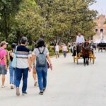 1 seville royal alcazar highlights of seville walking tour Seville: Royal Alcazar & Highlights of Seville Walking Tour