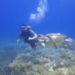 1 shared scuba diving under water museum Shared Scuba Diving Under Water Museum