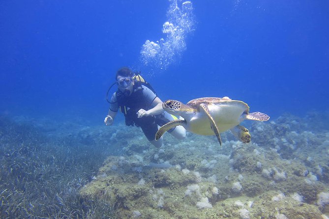 Shared Scuba Diving Under Water Museum