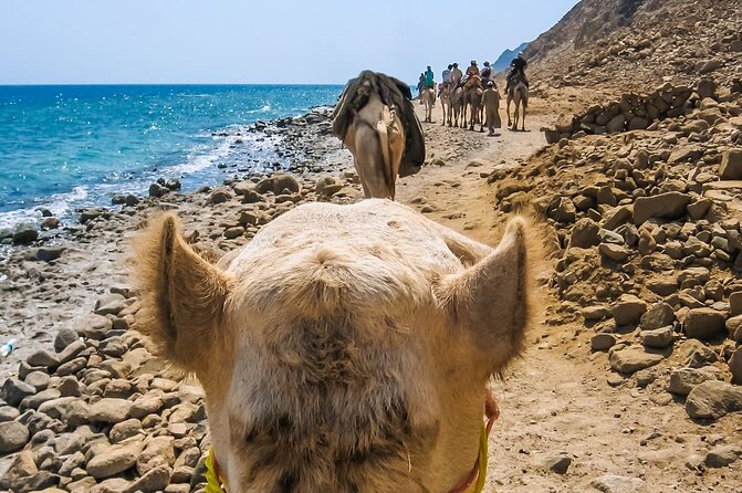 Sharm El Sheikh: Colored Canyon, Blue Hole & Dahab City Tour