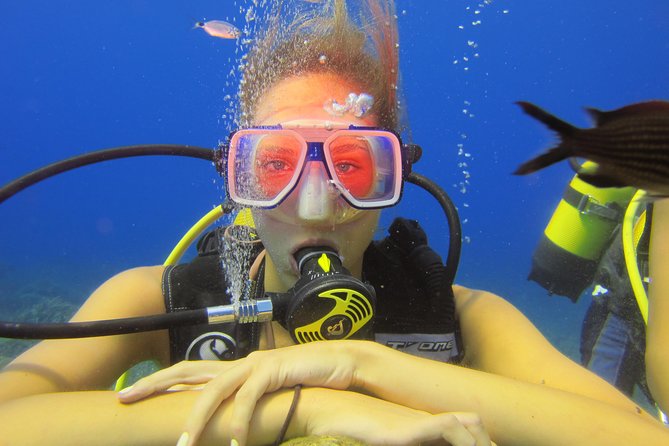1 side scuba diving Side: Scuba Diving Experience