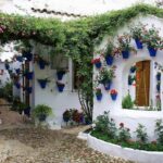 1 sights sounds and scents of cordobas patios Sights, Sounds, and Scents of Córdobas Patios