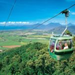1 skyrail rainforest cableway round trip experience Skyrail Rainforest Cableway Round-Trip Experience