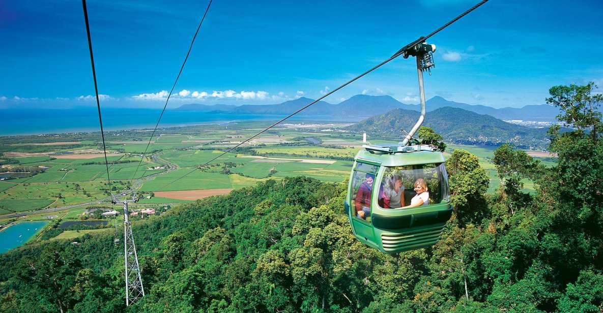 1 skyrail rainforest cableway round trip Skyrail Rainforest Cableway Round-Trip Experience