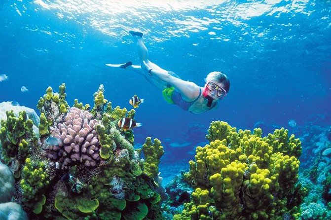 1 snorkel atv zipline and cenote adventure from cancun Snorkel, ATV, Zipline and Cenote Adventure From Cancun