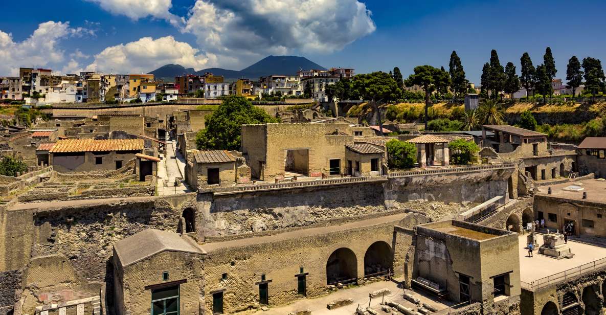 Sorrento: Transfer to Naples With Herculaneum Guided Tour