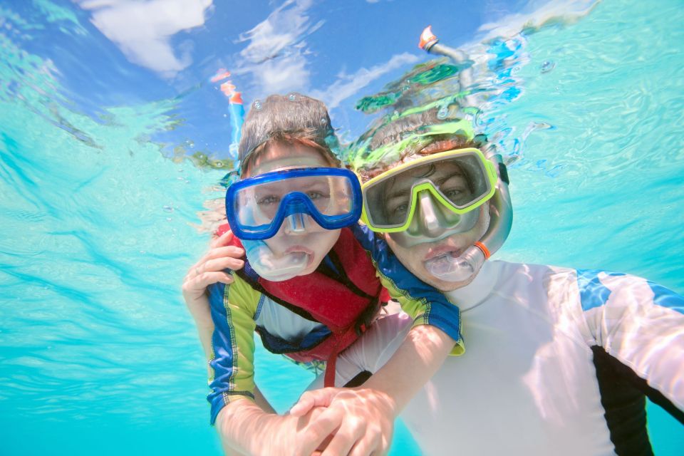 South Tenerife: Guided Snorkeling - Booking Instructions