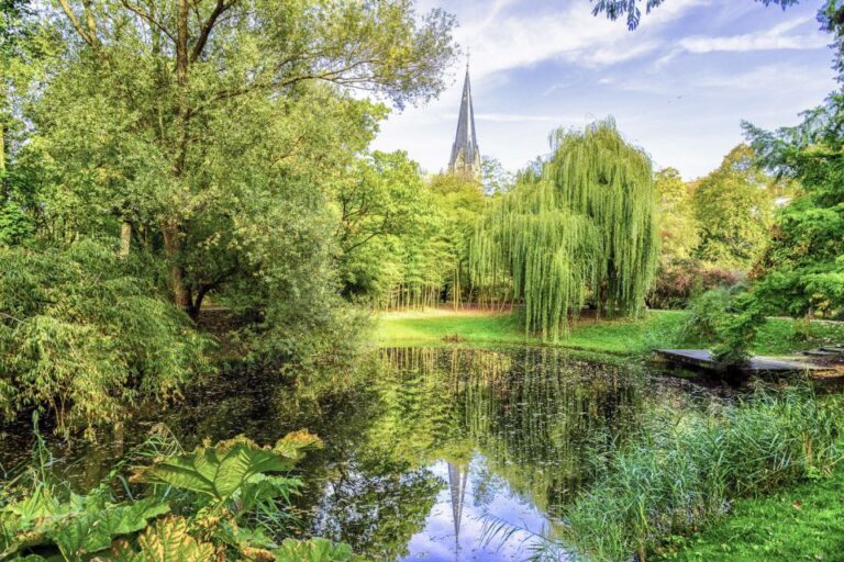 Strasbourg: 1.5-Hour Guided Segway Tour